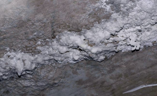 Goudrons-du-Quebec_Efflorescence-min Goudrons-du-Quebec_Efflorescence-min